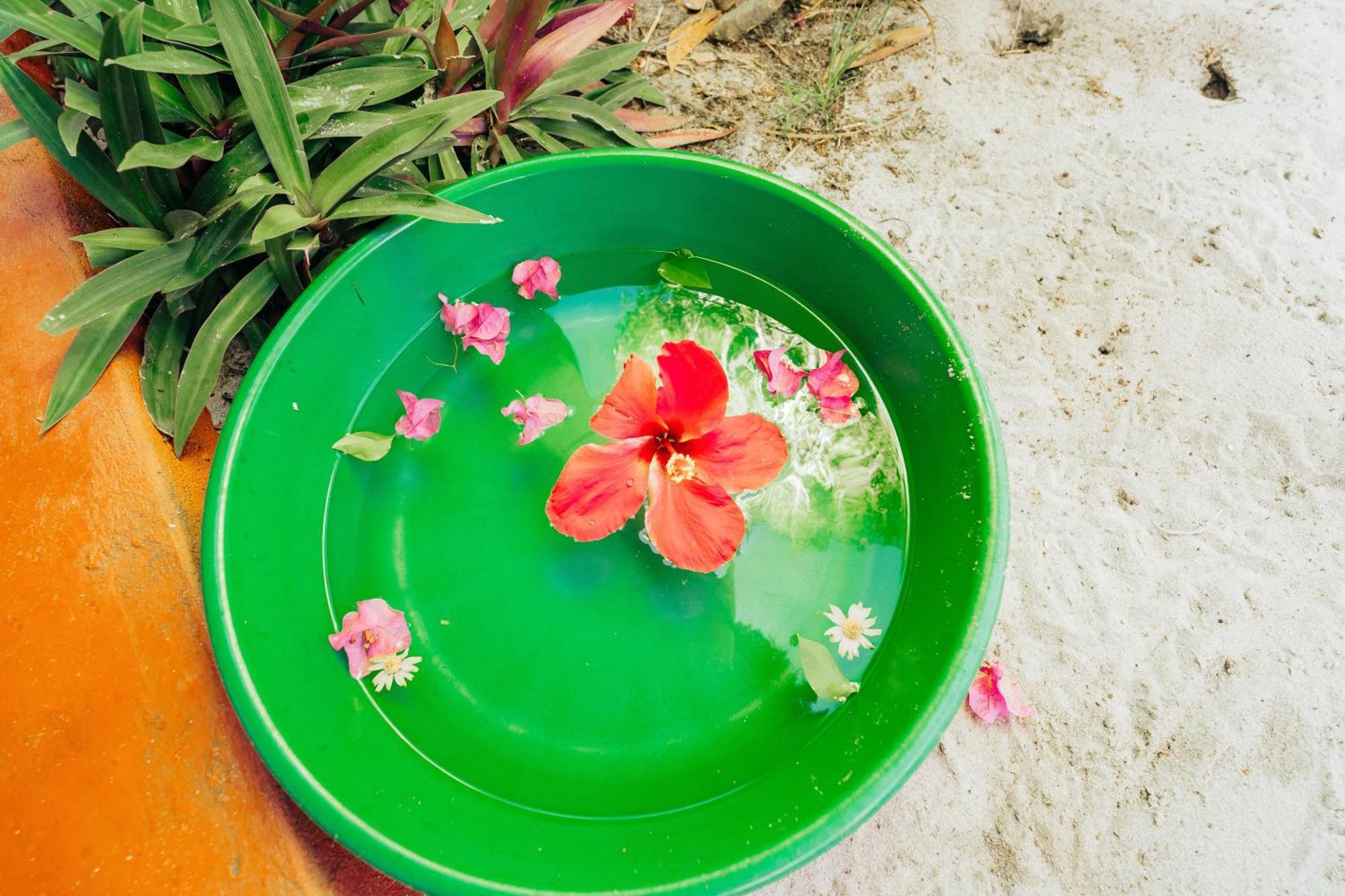 Maisara Mafia Beach Lodge キリンドニ エクステリア 写真